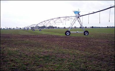 newly installed pivot irrigation system