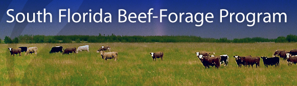 South Florida Beef-Forage Program