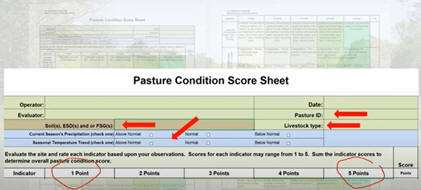 Pasture Condition Score Sheet
