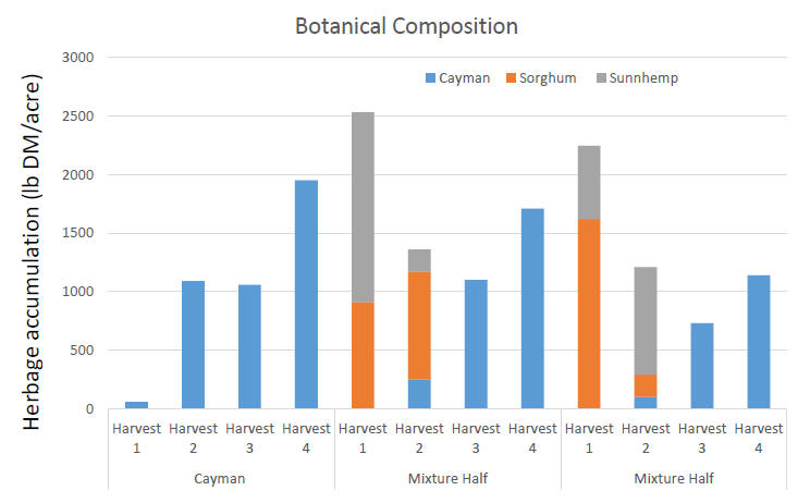 Botanical Composition Chart
